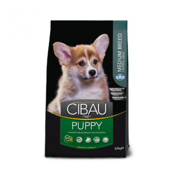 Cibau puppy medium