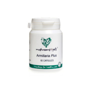 Armillaria Plus 450mg