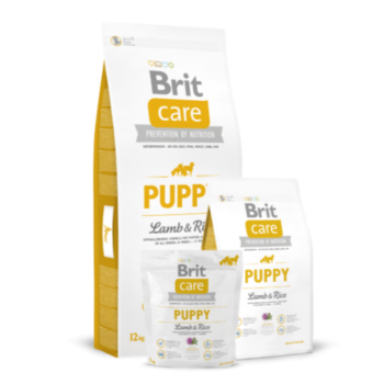 Brit Care puppy